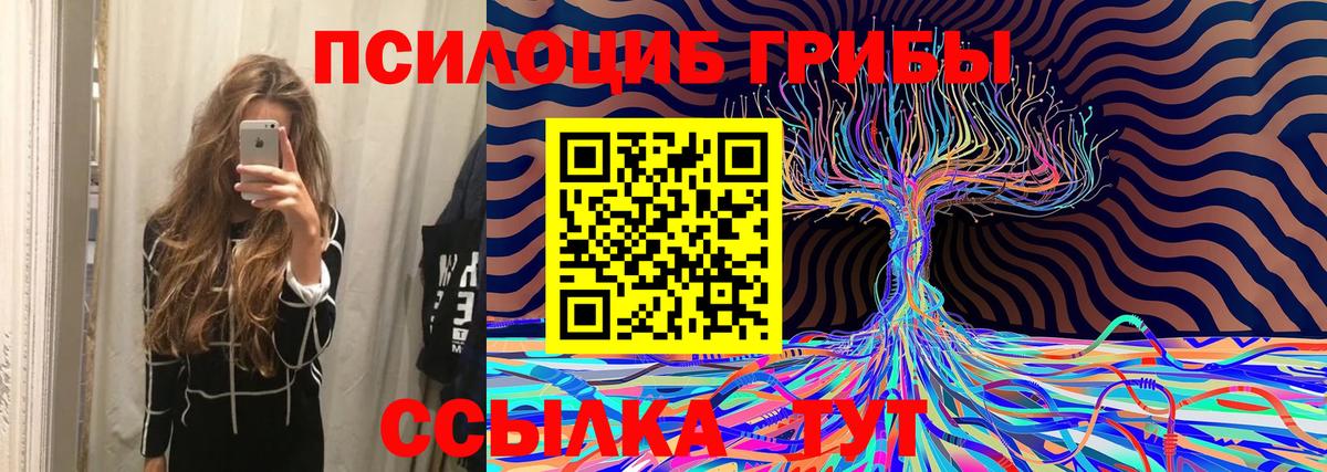 Галлюциногенные грибы мицелий  Вход с VPN  Зима 